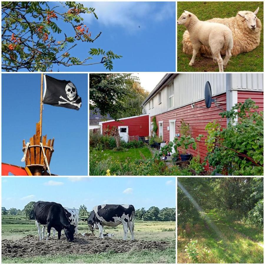 Piratennest Nord Bordelum Luaran gambar